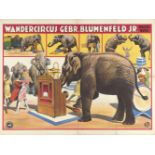 [Elephants] Wandercircus Gebr. Blumenfeld Jr.