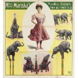 [Dogs. Elephants] Mlle. Mariska's marvellous elephants, pony and poodle dogs