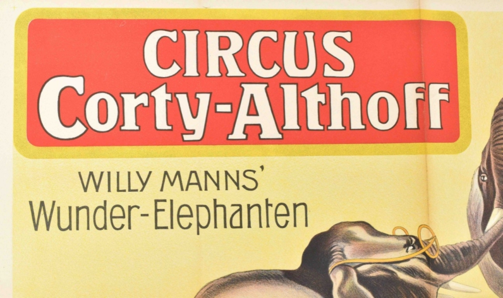 [Elephants. Corty-Althoff] Willy Manns' Wunder Elephanten - Image 6 of 7