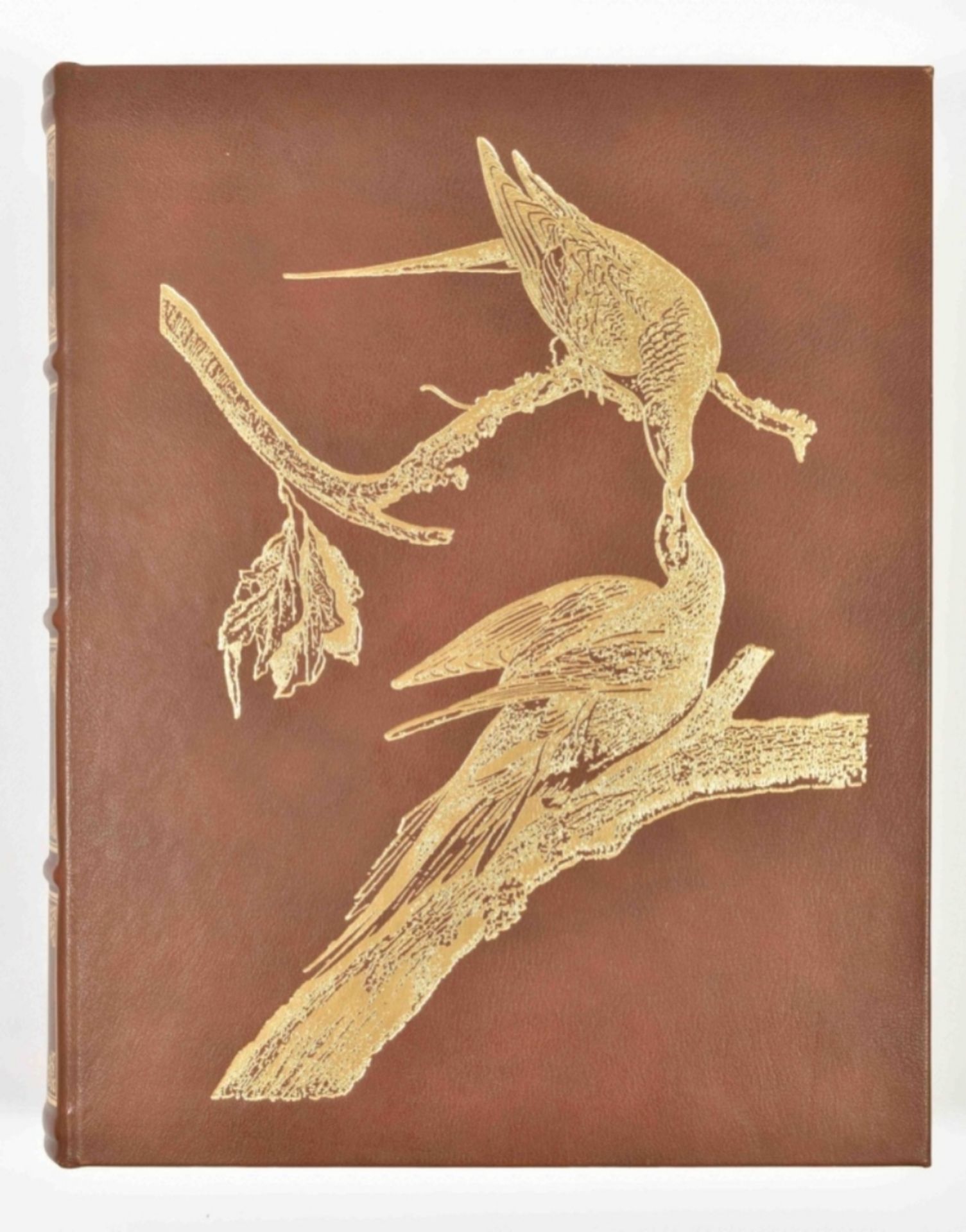 R. and V. Peterson. Audubon's Birds of America