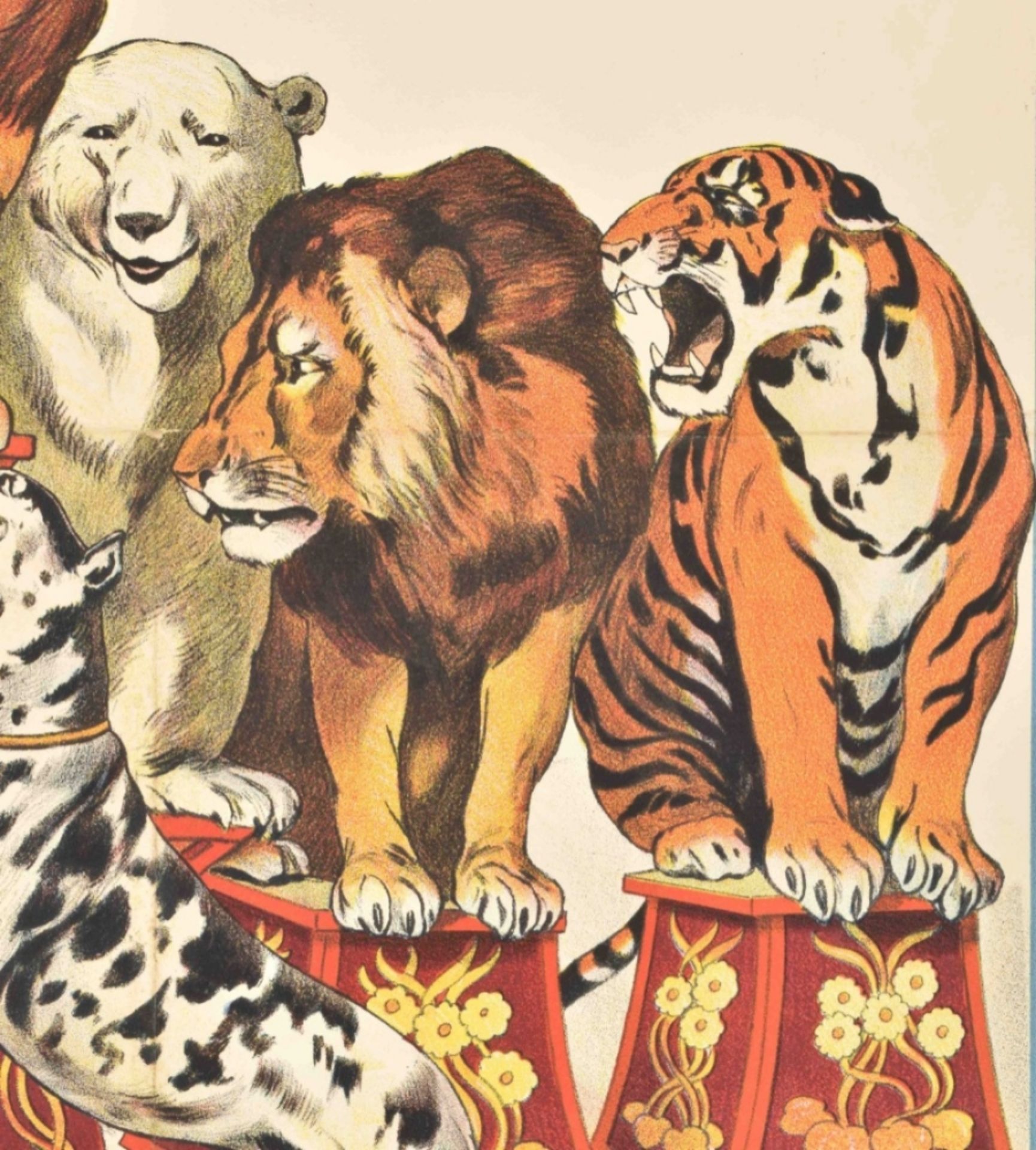 [Bears. Lions. Tigers. Hagenbeck] "Pyramid arrangement with wild animals" - Bild 5 aus 9