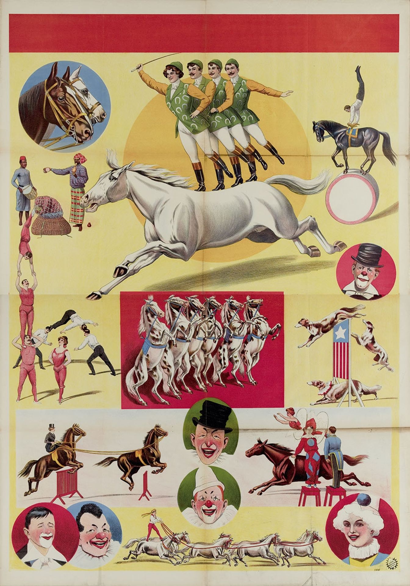 "Overview of numerous circus acts"