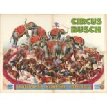 [Elephants. Horses. Zebras. Busch] Exotisches Monstre-Tableau