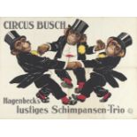 [Monkeys. Busch] Hagenbeck's lustiges Schimpansen-Trio