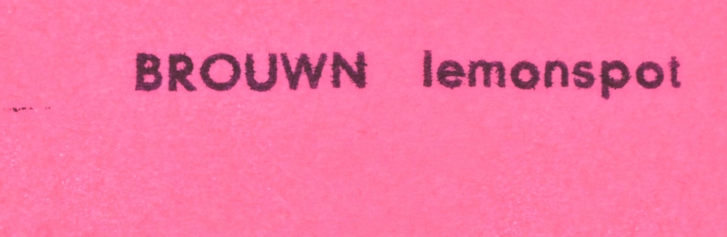 Stanley Brouwn, BROUWN Lemonspot, 1963 - Image 4 of 6