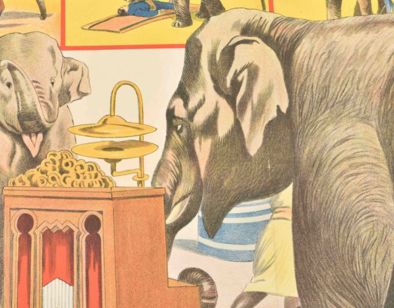 [Elephants] Wandercircus Gebr. Blumenfeld Jr. - Image 6 of 7