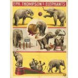 [Elephants] Eph. Thompson's Elephants