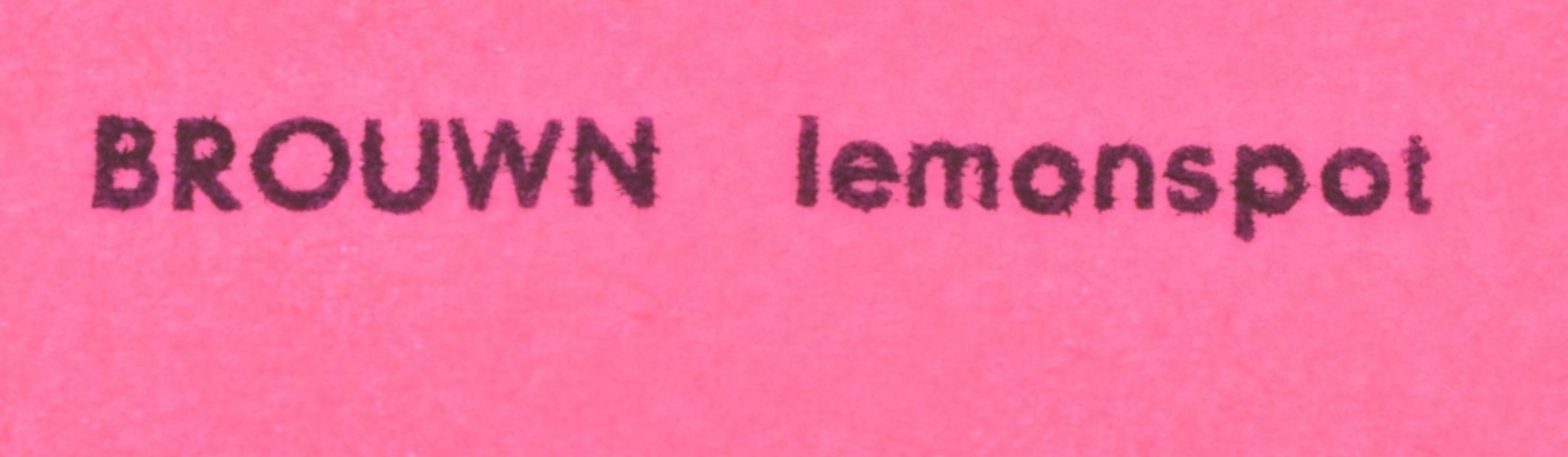 Stanley Brouwn, BROUWN Lemonspot, 1963 - Image 5 of 6
