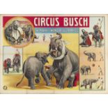 [Elephants. Busch] W. Mann's Wonder Elephants