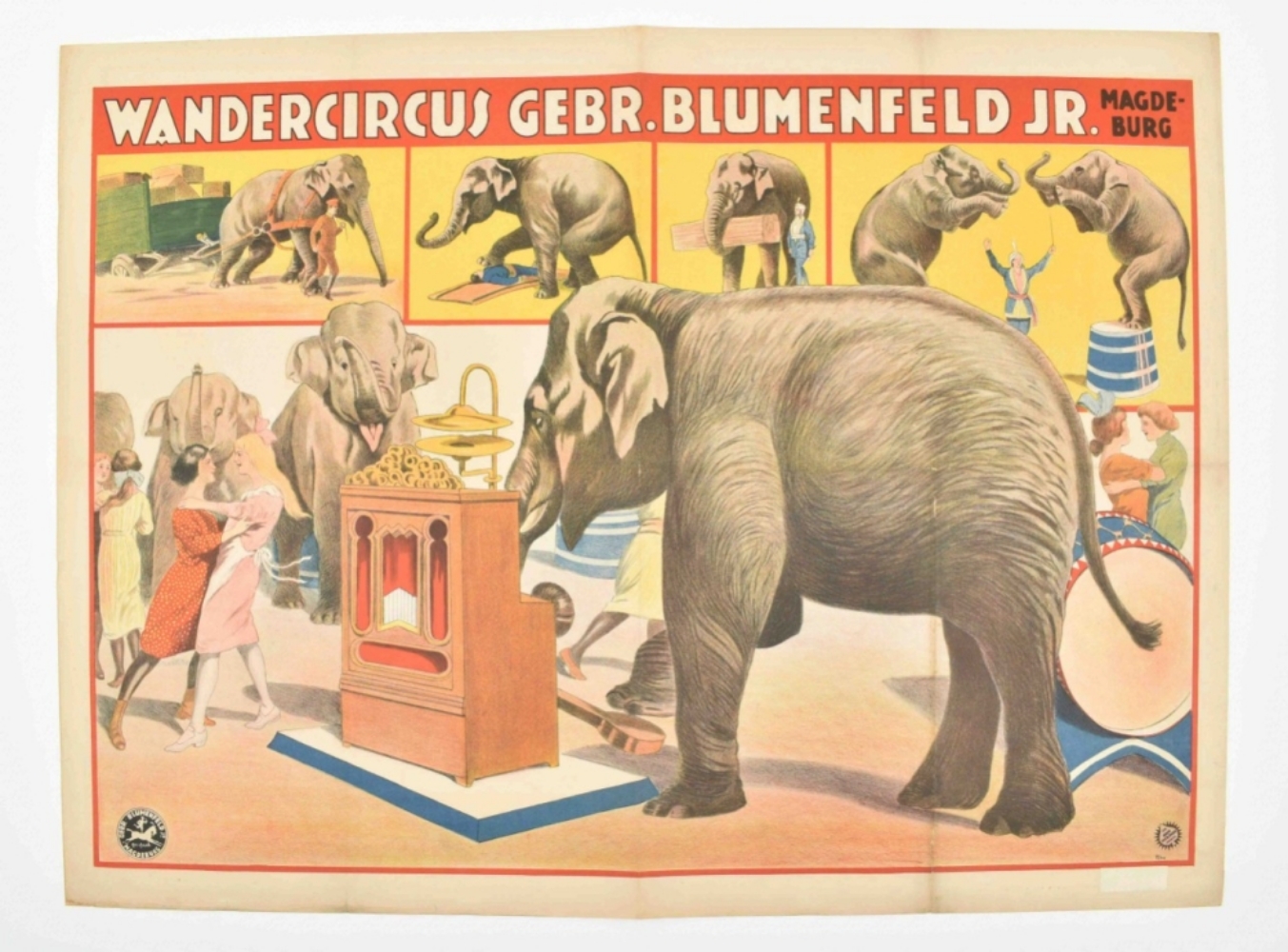 [Elephants] Wandercircus Gebr. Blumenfeld Jr. - Image 7 of 7