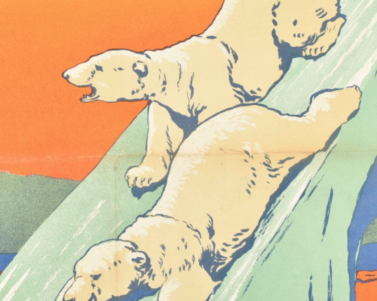 [Polar bears] Carl Hagenbeck Hamburg - Image 5 of 6