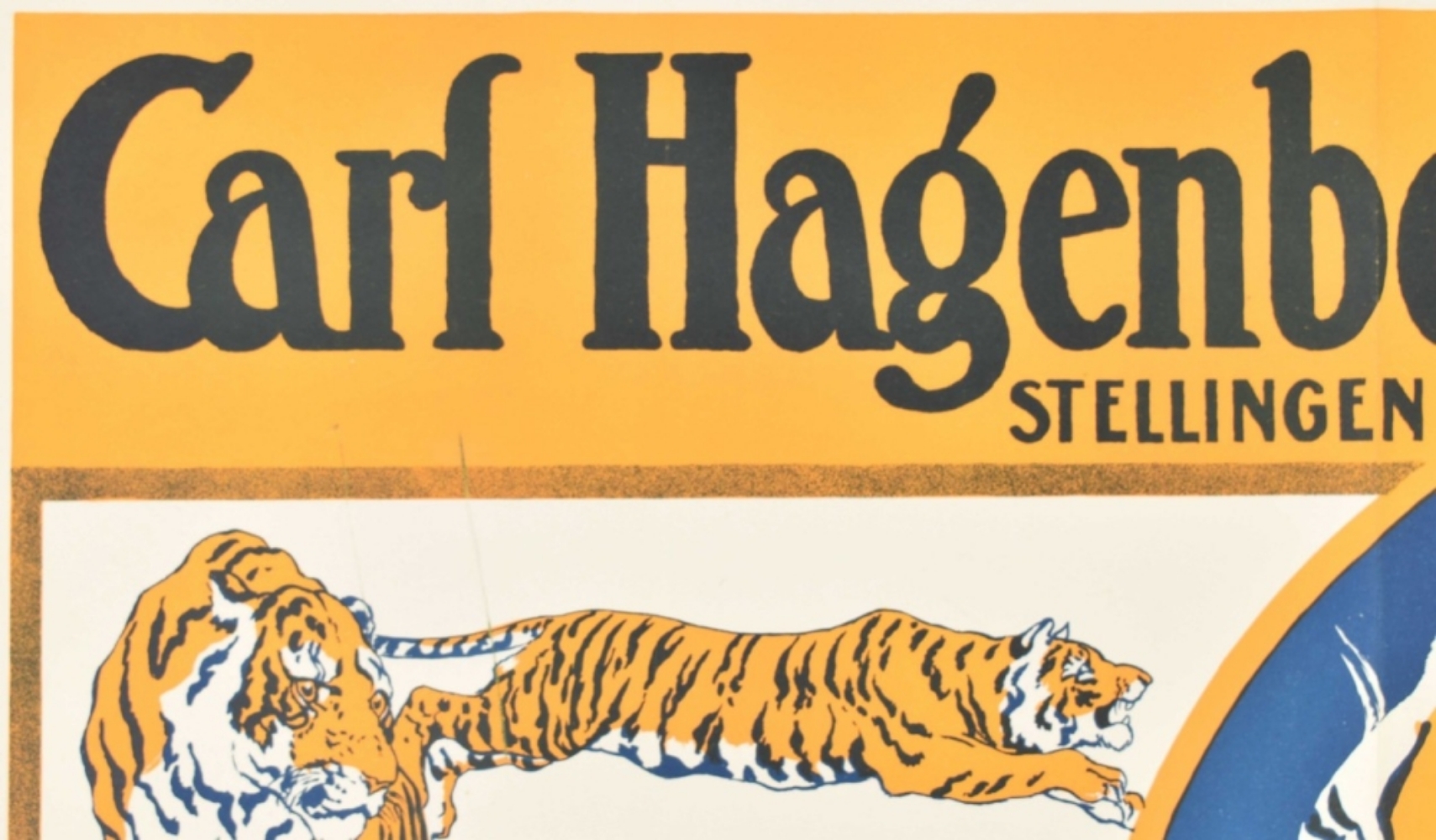 [Tigers] Carl Hagenbeck Hamburg - Image 6 of 7