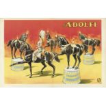 [Horses. Adolfi] "Horse dressage act"