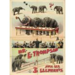 [Elephants] Mr. E. Thompson avec ses 3 elephants