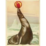 [Sea lions] "Sea lion balancing a ball'