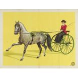 [Horse driving] "Woman on a two-wheeled carriage with horse"