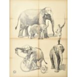 [Elephants] "Elephants performing tricks"