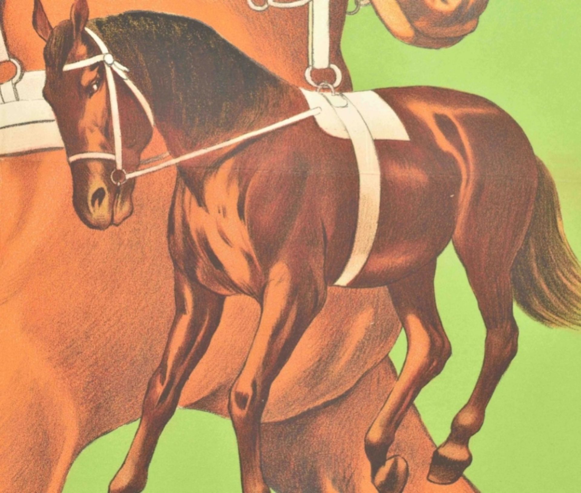 [Horses] Willy Mann's neueste Original Dressur - Bild 4 aus 6