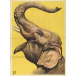 [Elephants] "Portrait of an elephant"