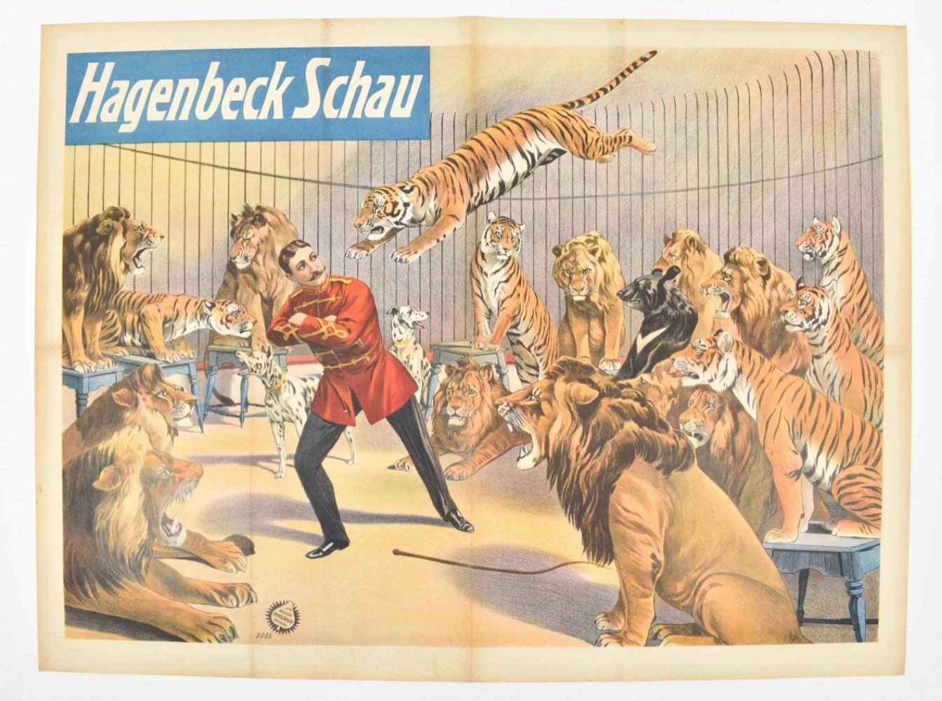 [Lions. Tigers] Hagenbeck's Schau - Image 7 of 7