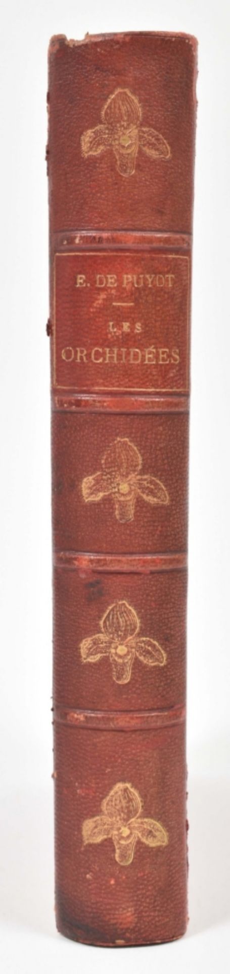 E. de Puydt. Les Orchidées, Histoire Iconographique - Image 6 of 10