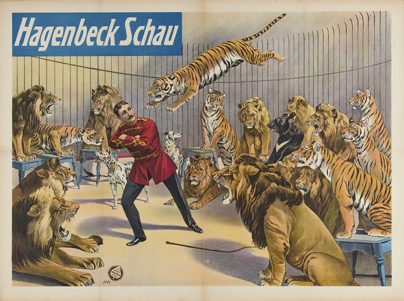 [Lions. Tigers] Hagenbeck's Schau