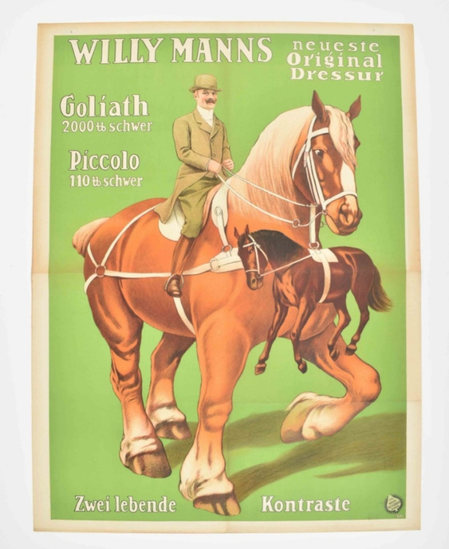 [Horses] Willy Mann's neueste Original Dressur - Bild 6 aus 6