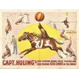 [Horses. Sea lions] Capt. Huling's [...]