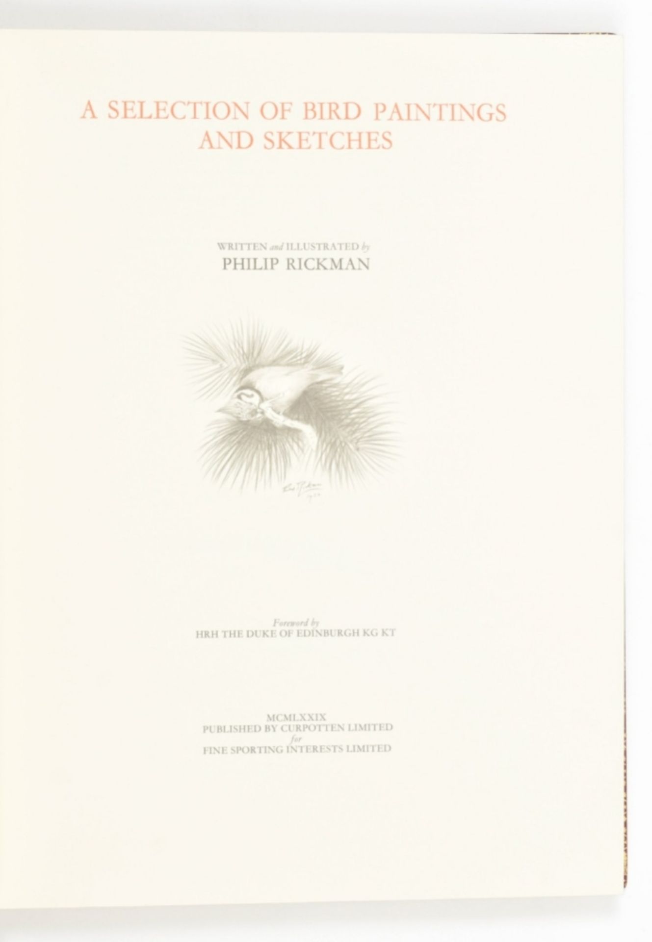 Philip Rickman. A Selection of Bird Paintings and Sketches - Image 7 of 10