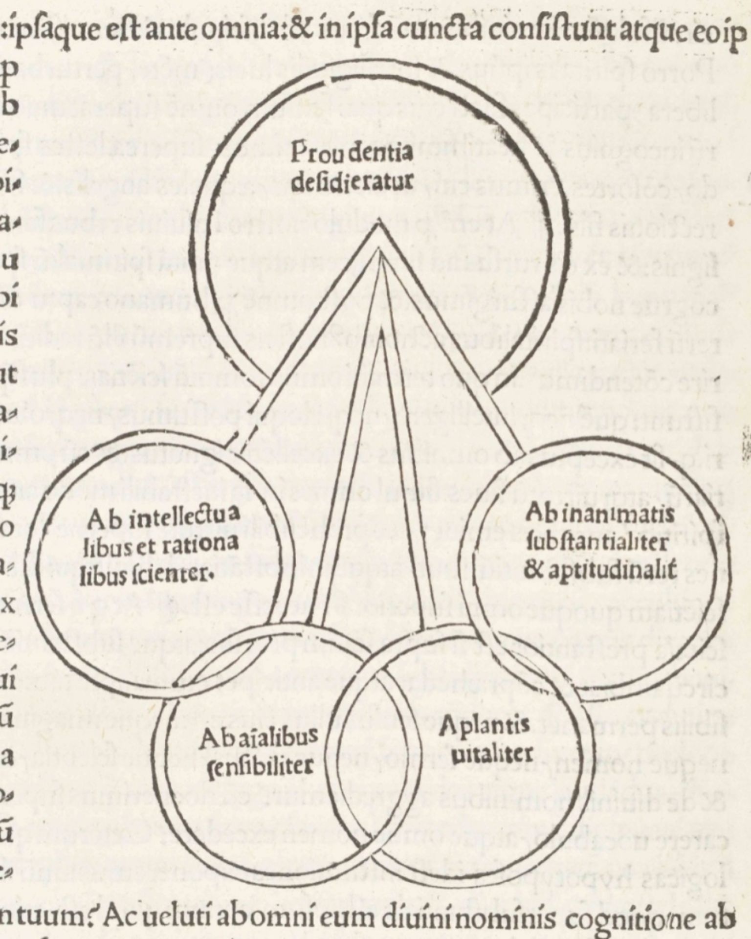 Dionysius the Areopagite. Divini Dionysii areopagite caelestis hierarchia, - Image 2 of 8