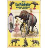 [Elephants] Miss Elsa Philadelphia's Wonder-Elephant & Monkeys