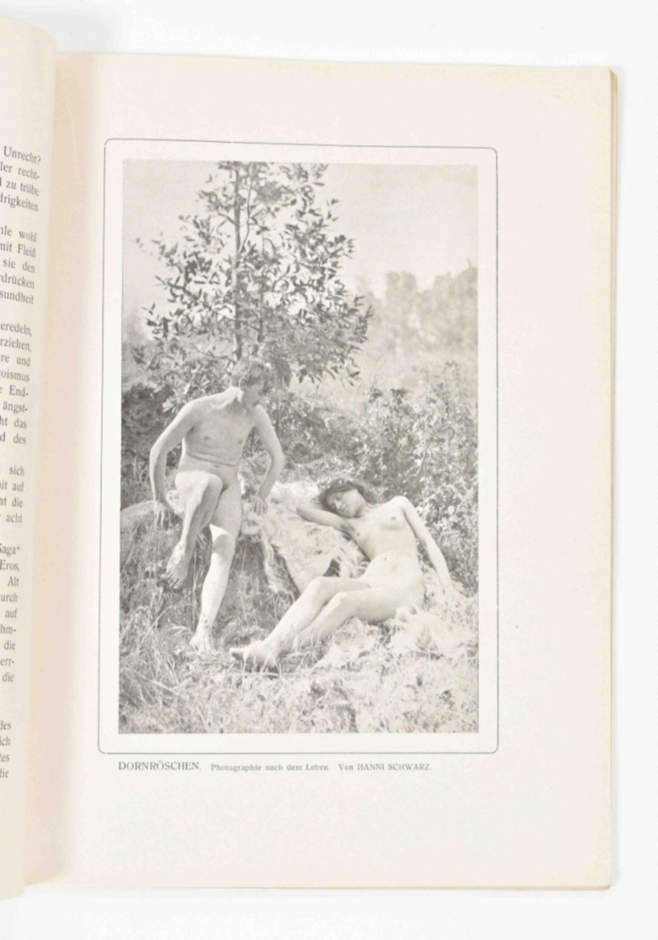 Friedrich S. Krauss. Streifzüge im Reiche der Frauenschönheit - Bild 2 aus 10