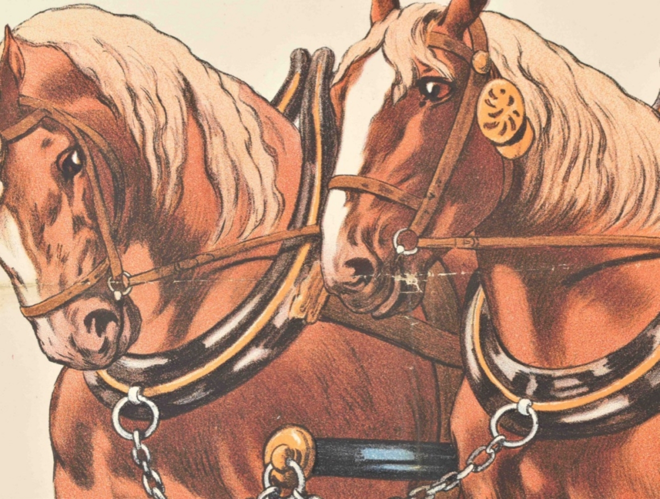 [Horses. Corty-Althoff] Die berühmten Brauerpferde - Image 4 of 7