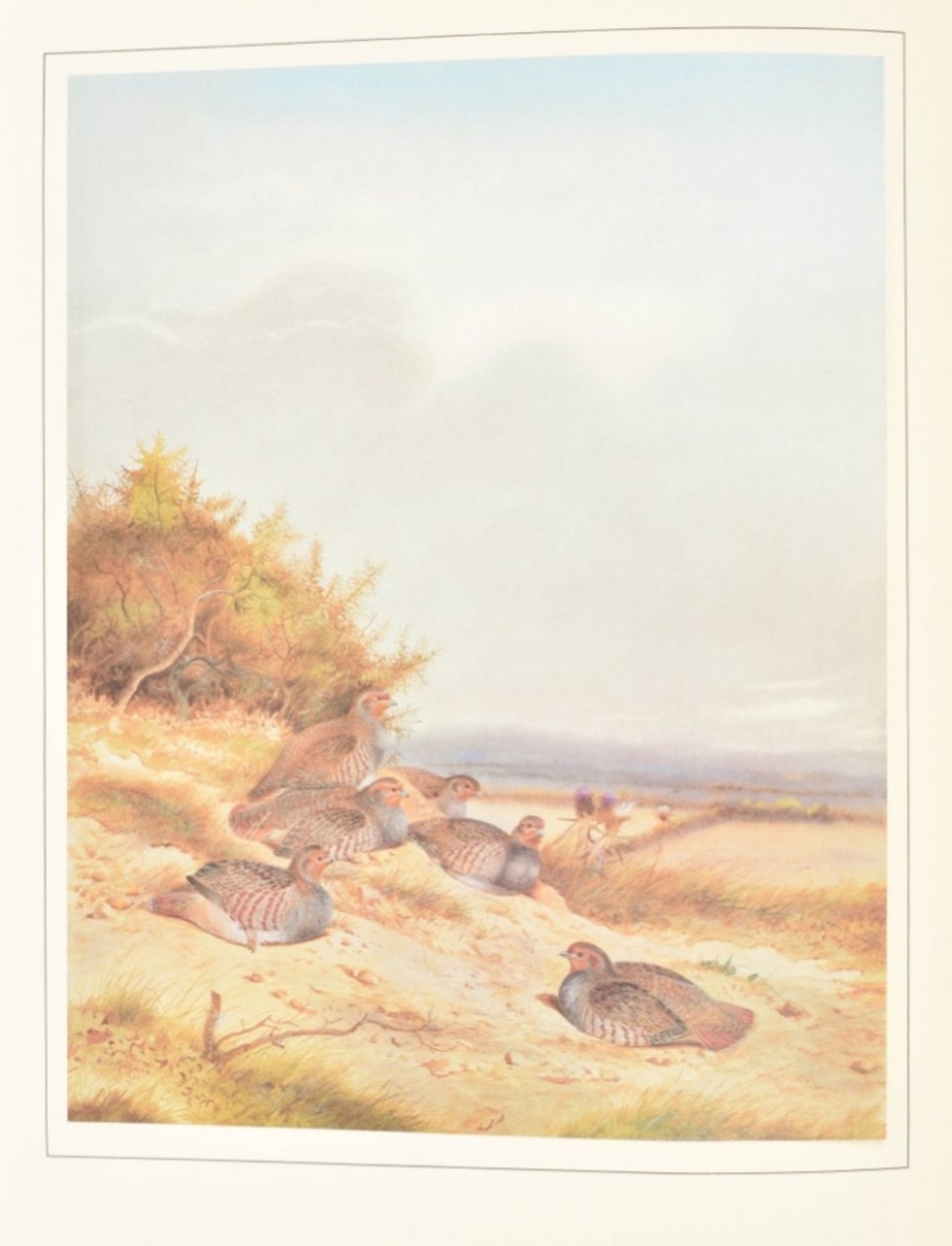 Philip Rickman. Bird Paintings and Sketches - Image 6 of 10