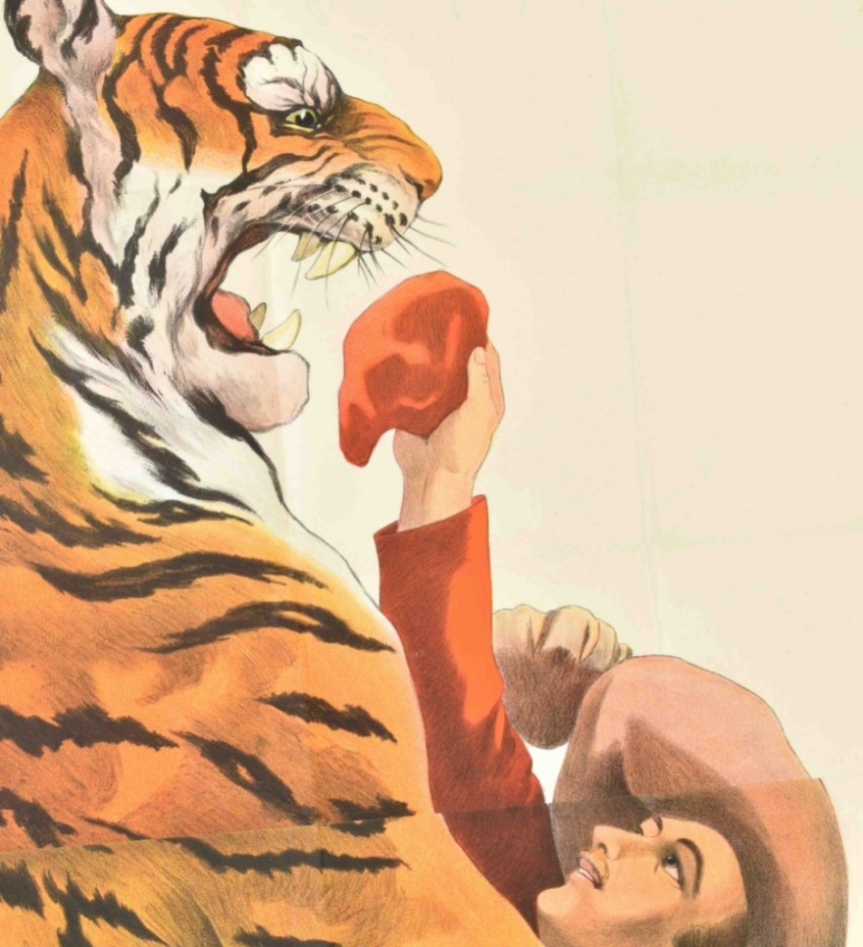 [Tigers] (Die wilden Königs-Tiger) - Image 5 of 6