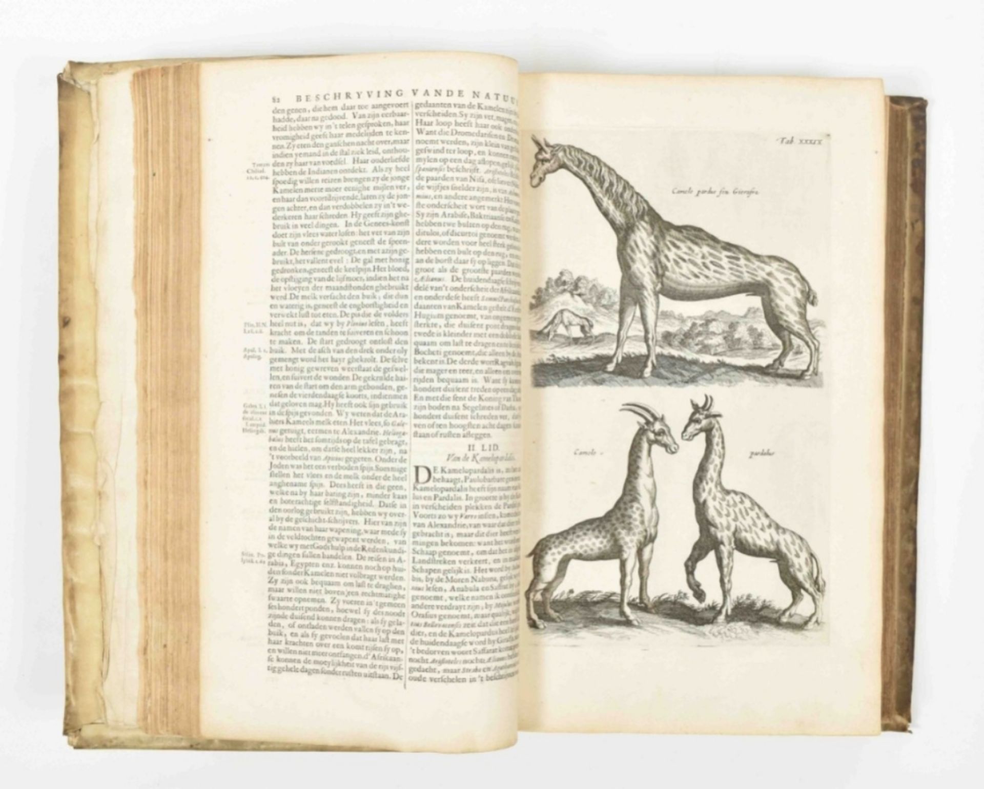 J. Jonstons Naeukeurige beschryving van de natuur der vier-voetige dieren - Image 9 of 10