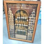 Unique heavy recessed wooden and glazed sales display case depicting all the different types of