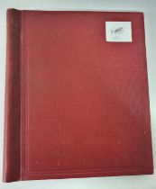 Red Senetor album containing Commonwealth mint and used (Qty)