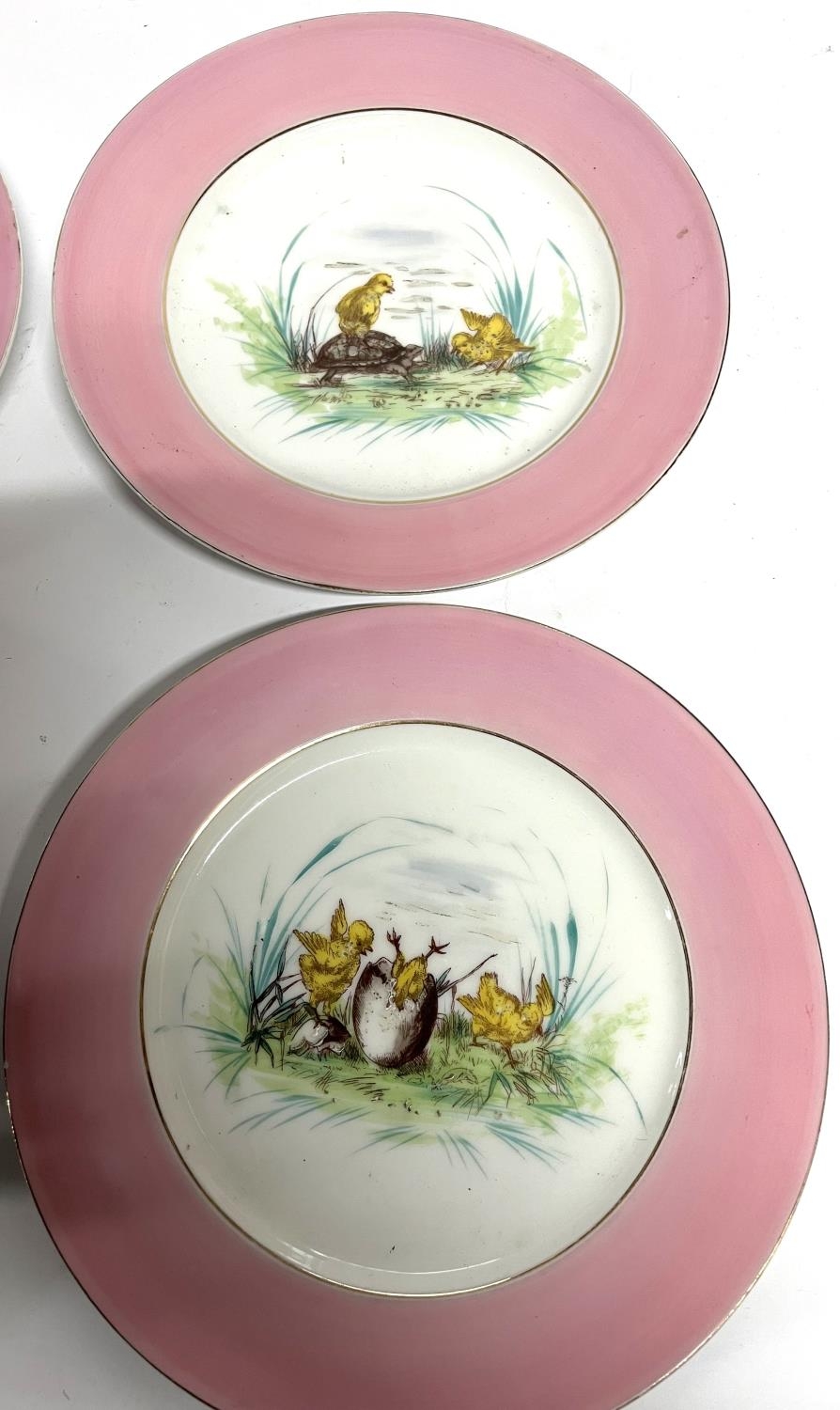 Six Victorian hand-painted plates depicting scenes featuring a newly hatched Chick and a Frog (6) - Image 3 of 3