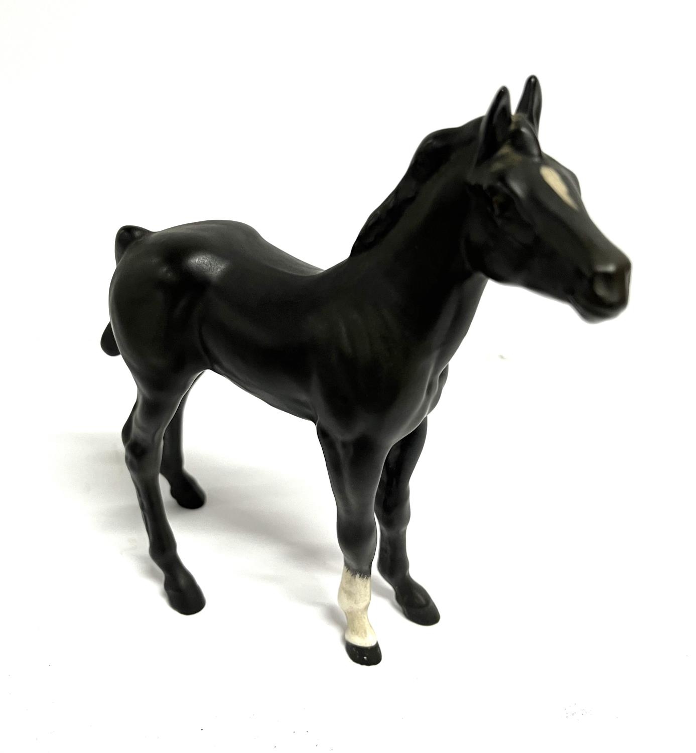 Matt Black Beswick Horse