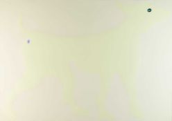 Imi Knoebel (1940 Dessau - lebt in Düsseldorf)