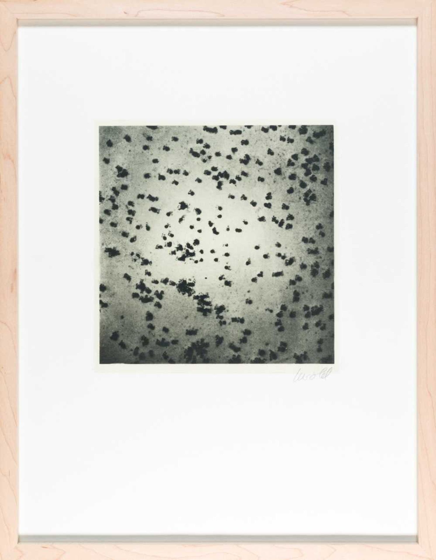 Georg Herold (1947 Jena - lebt in Köln) - Bild 6 aus 6