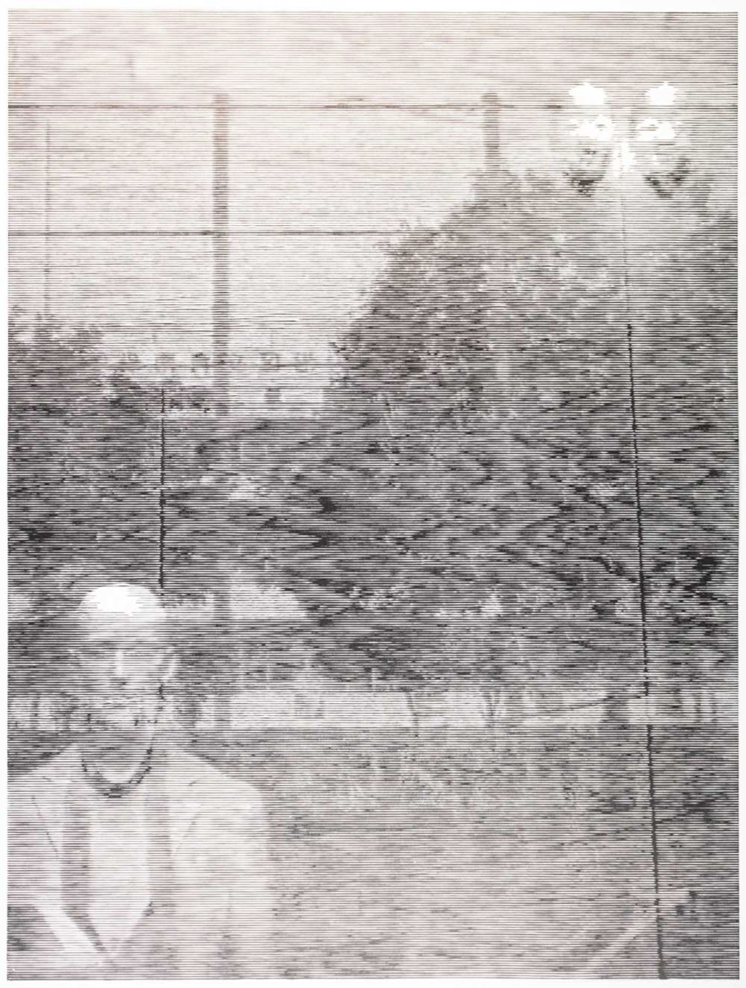 Yuasa Katsutoshi (1978 Tokio – lebt in Tokio) - Bild 2 aus 3