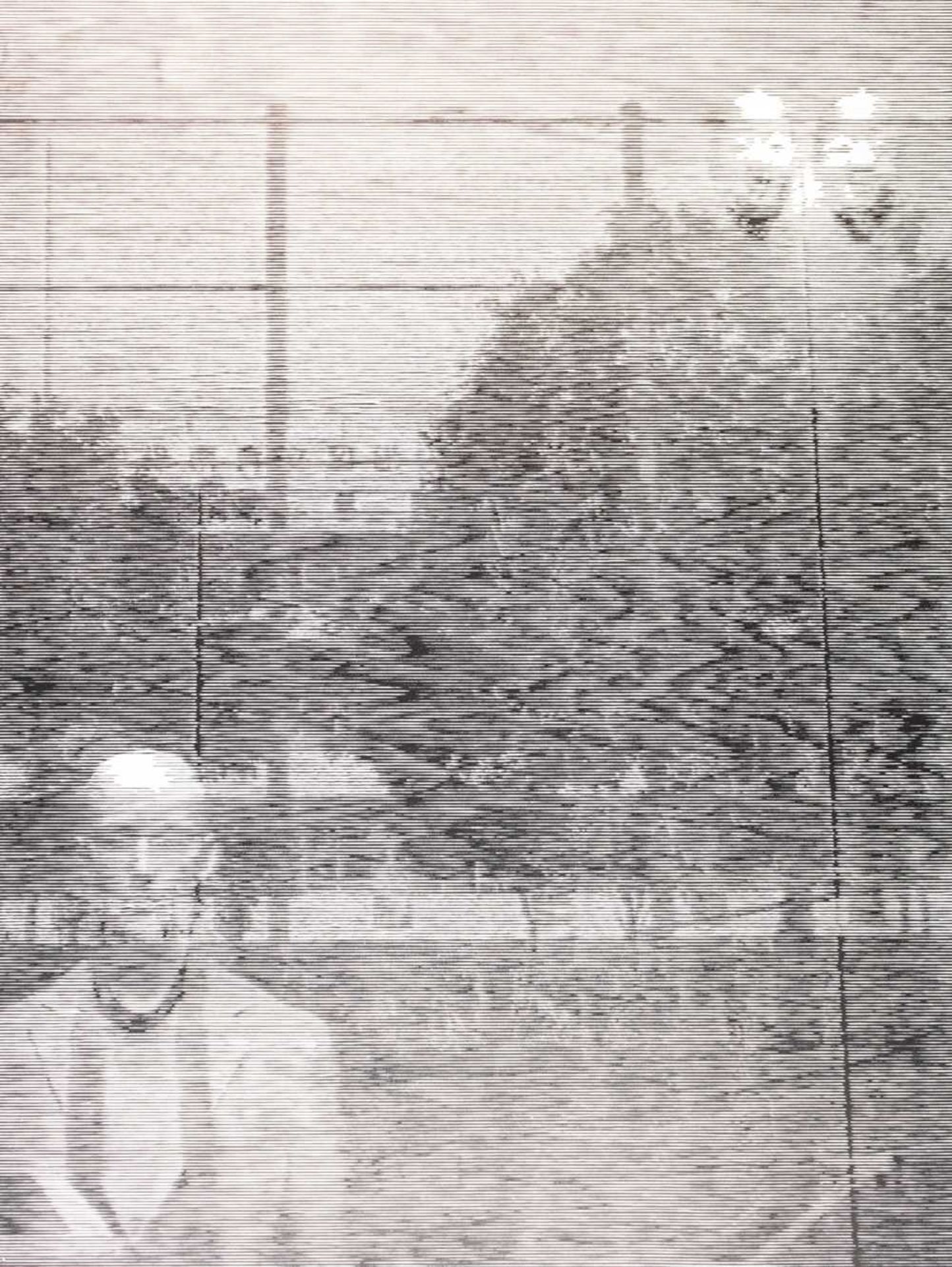 Yuasa Katsutoshi (1978 Tokio – lebt in Tokio)