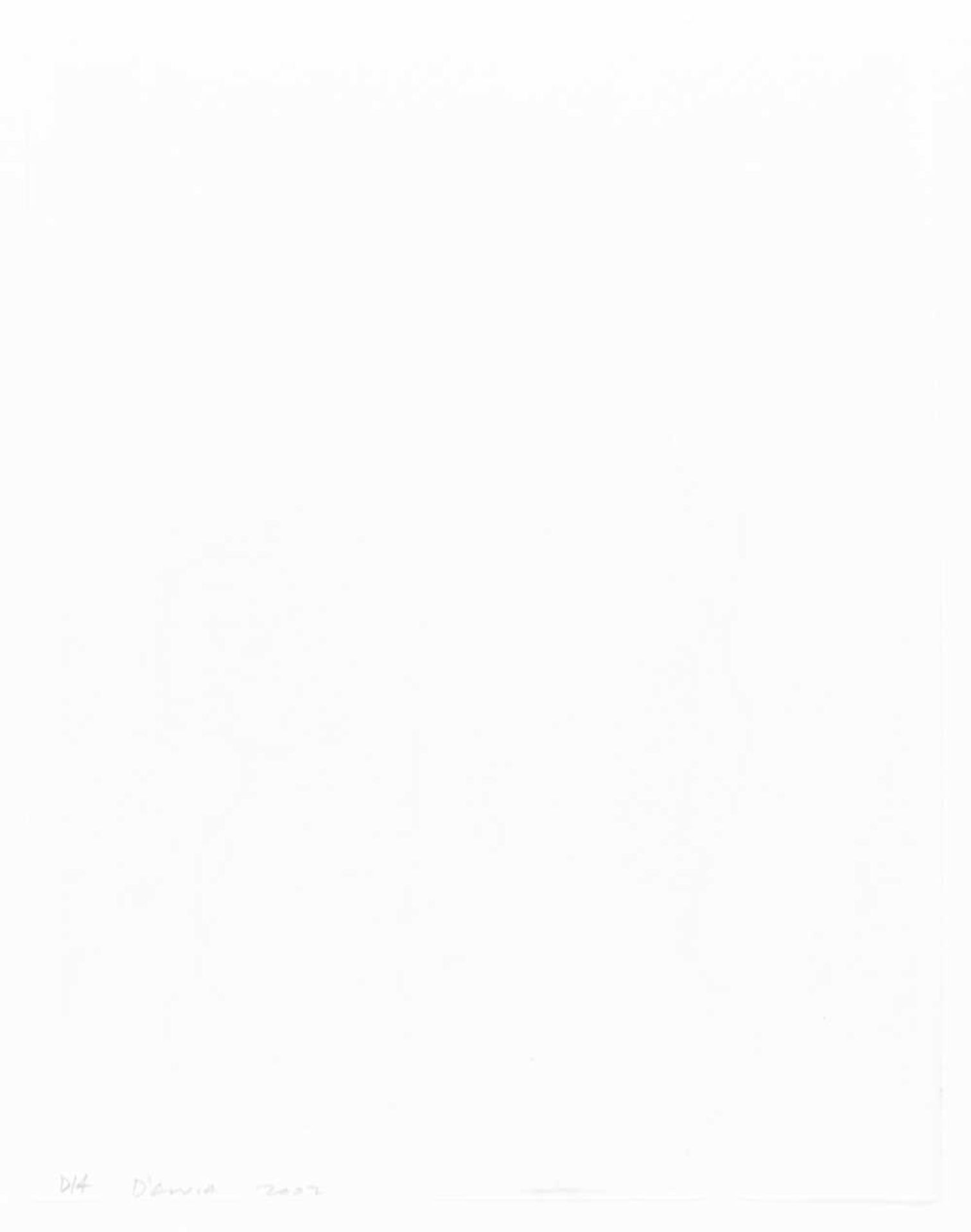 Carl D'Alvia (1965 in Sleepy Hollow, NY - lebt in New York) - Bild 3 aus 3