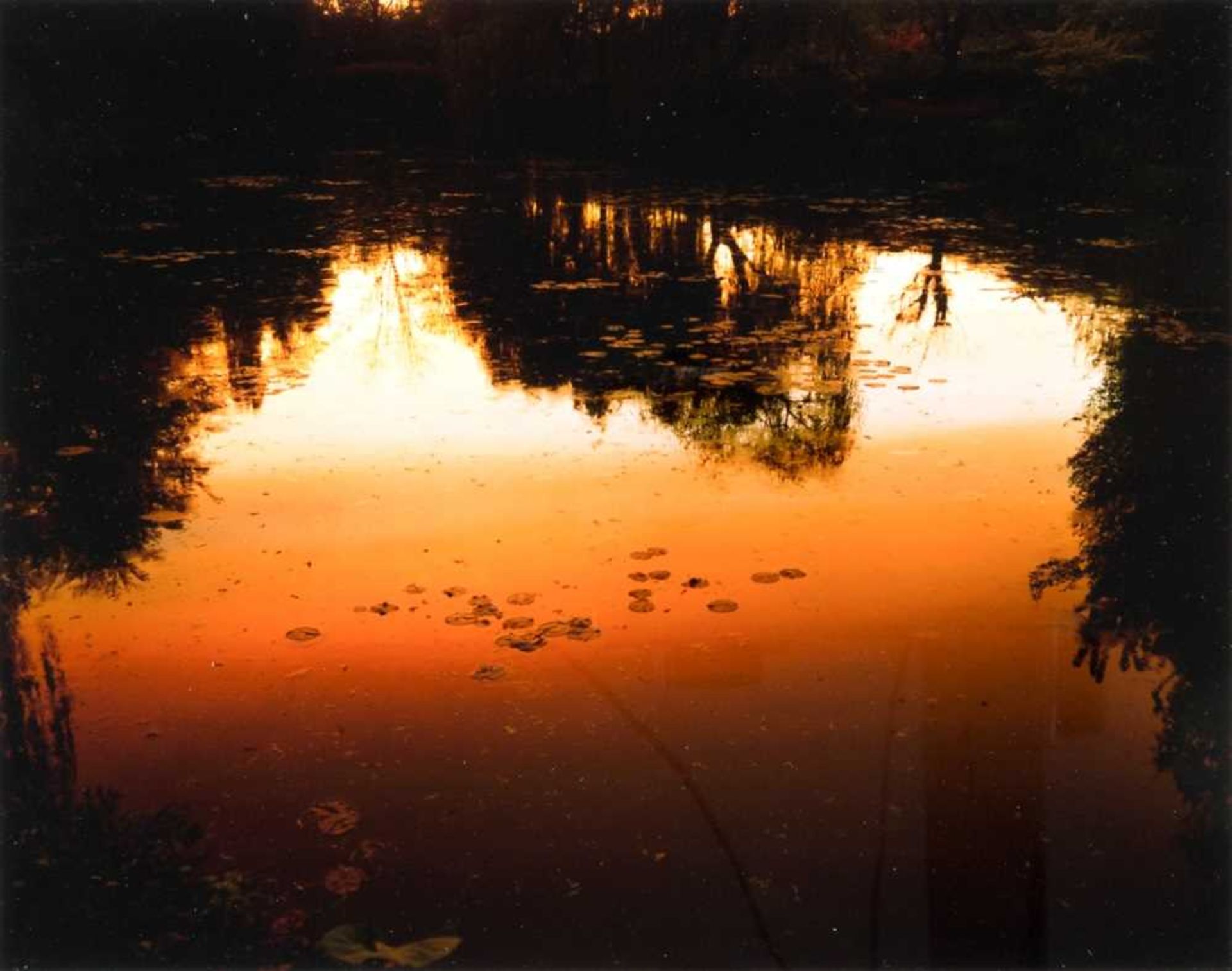 Elger Esser (1967 Stuttgart – lebt in Düsseldorf)