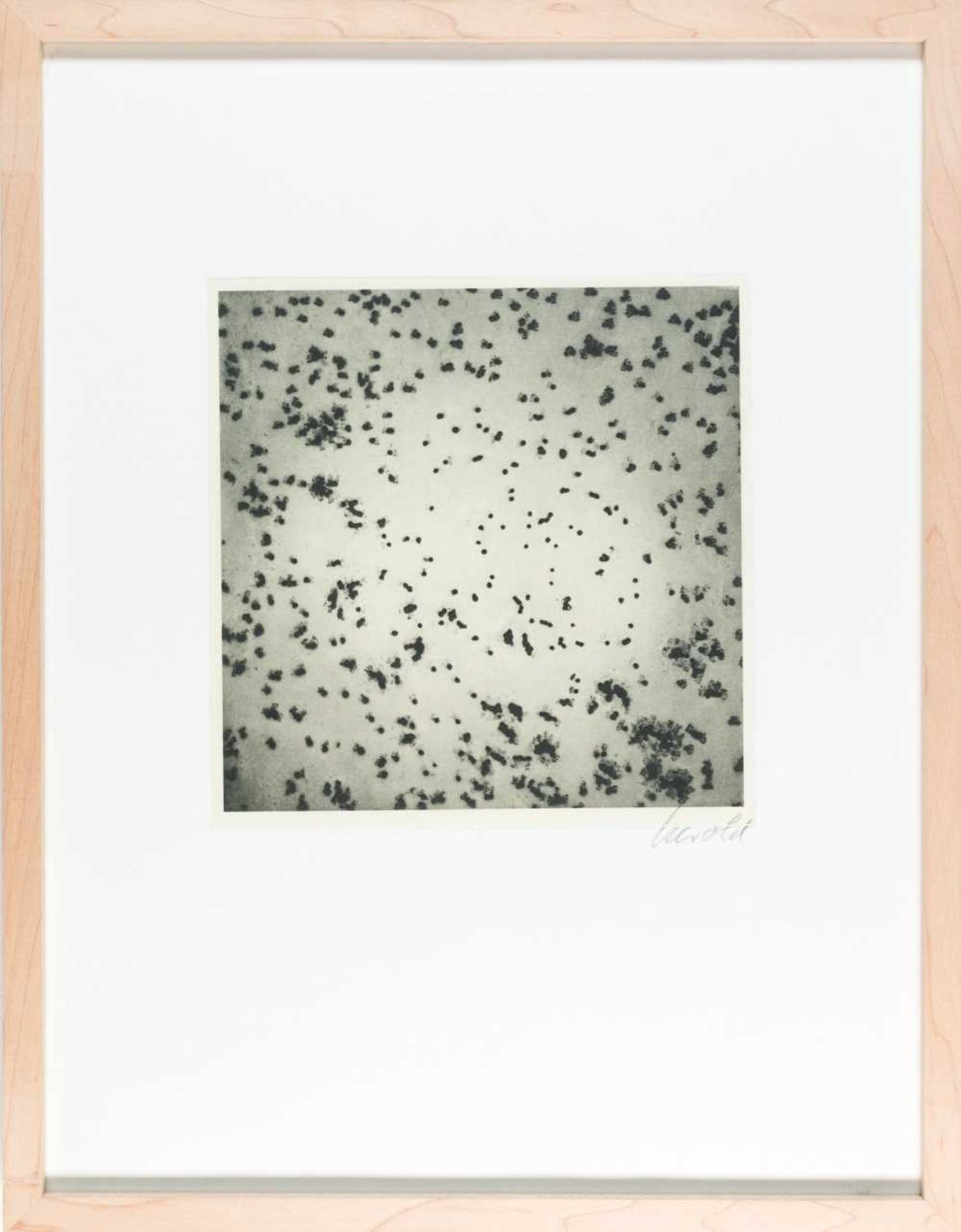 Georg Herold (1947 Jena - lebt in Köln) - Bild 4 aus 6