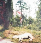 Lola Montes Schnabel (1981 New York City – lebt auf Sizilien)