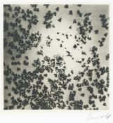 Georg Herold (1947 Jena - lebt in Köln)