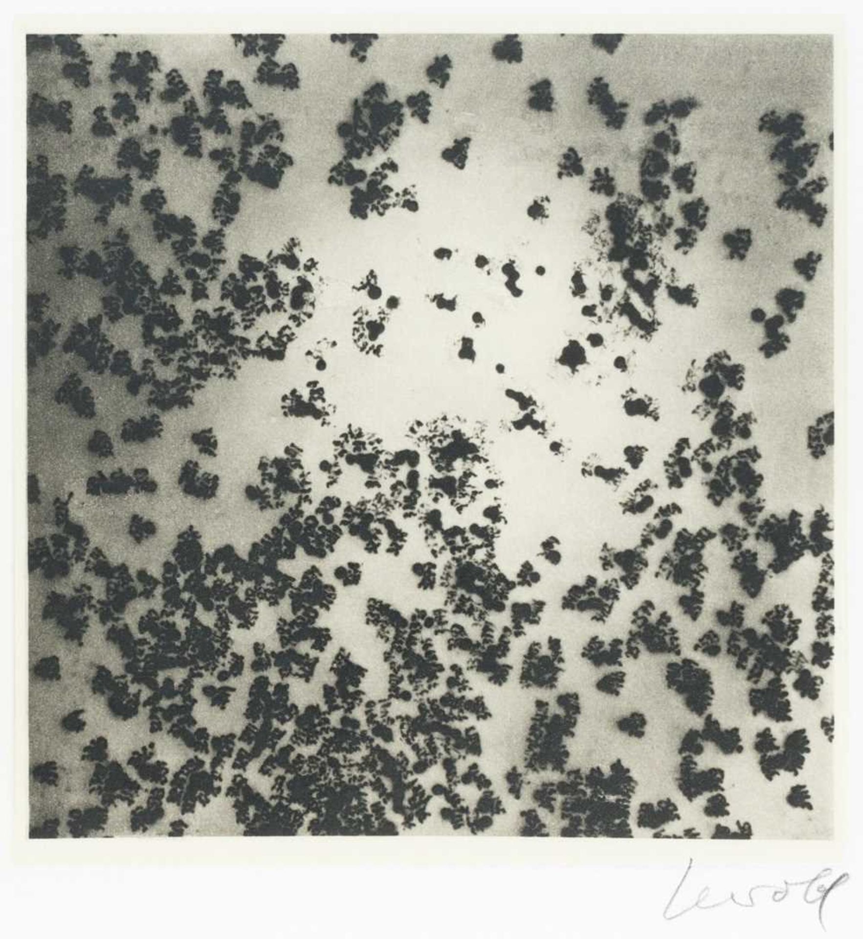 Georg Herold (1947 Jena - lebt in Köln)